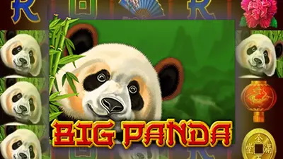 big panda